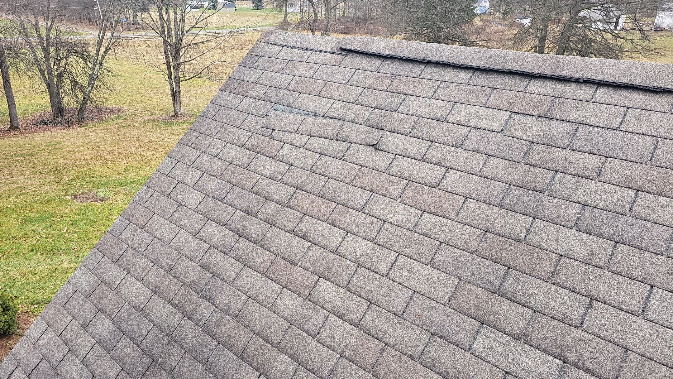 Alpha Rib, Color: Forest Green by Eagle Eye Roofing