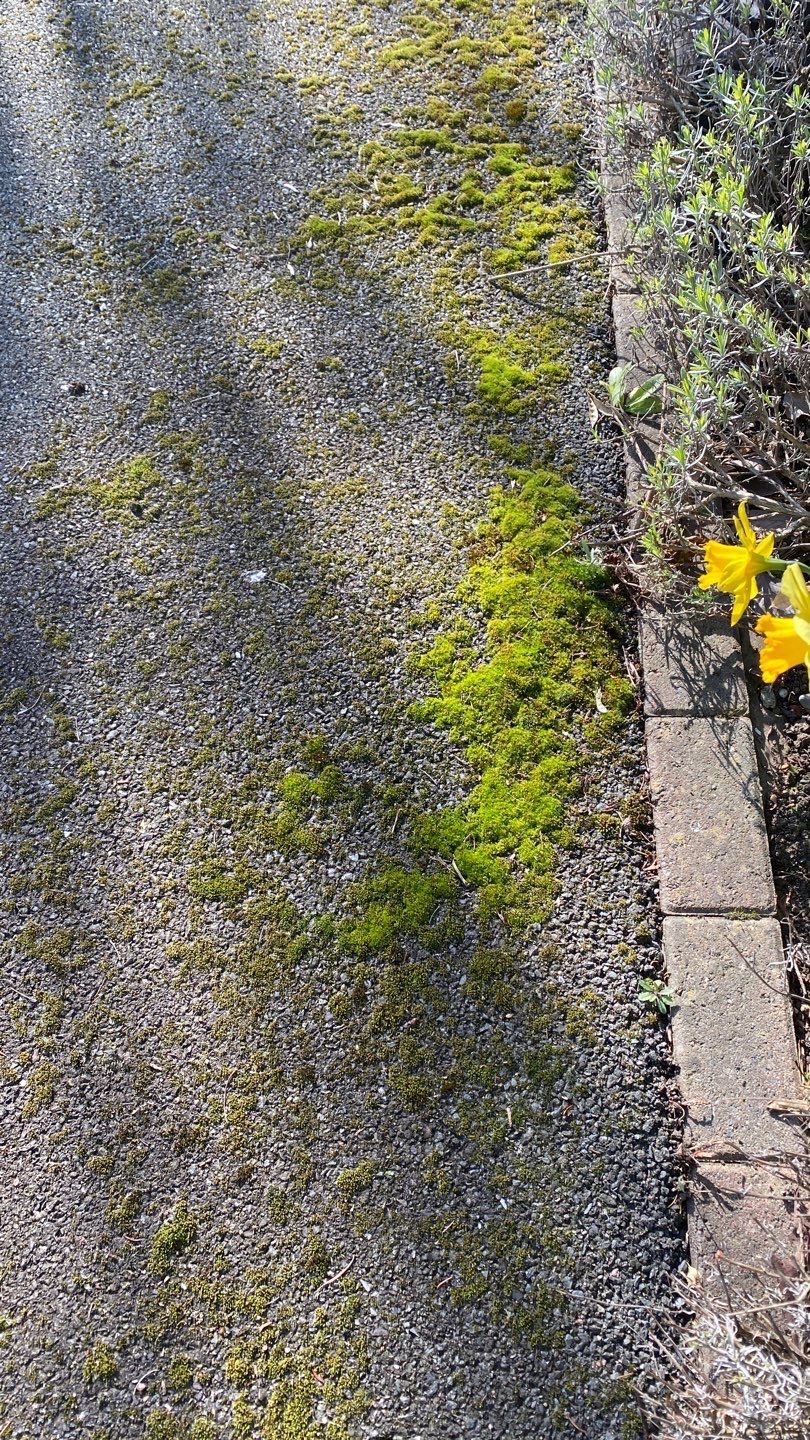 Exterior Clean - Roof - Patio - Driveway using honda 21 ltr/min by Ges Exterior Cleaning ltd