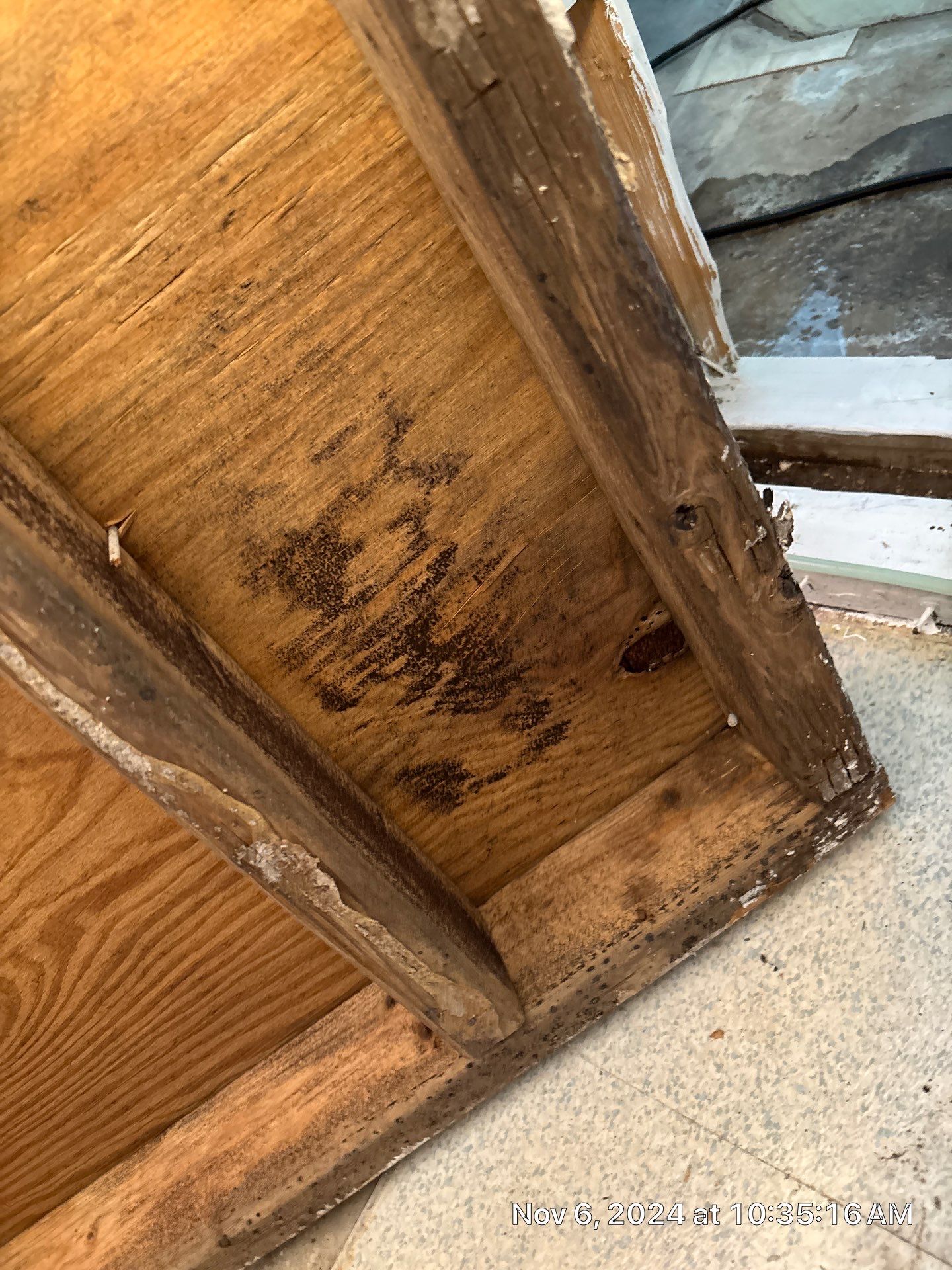 Mold Inspection by Ampm Restoration Services