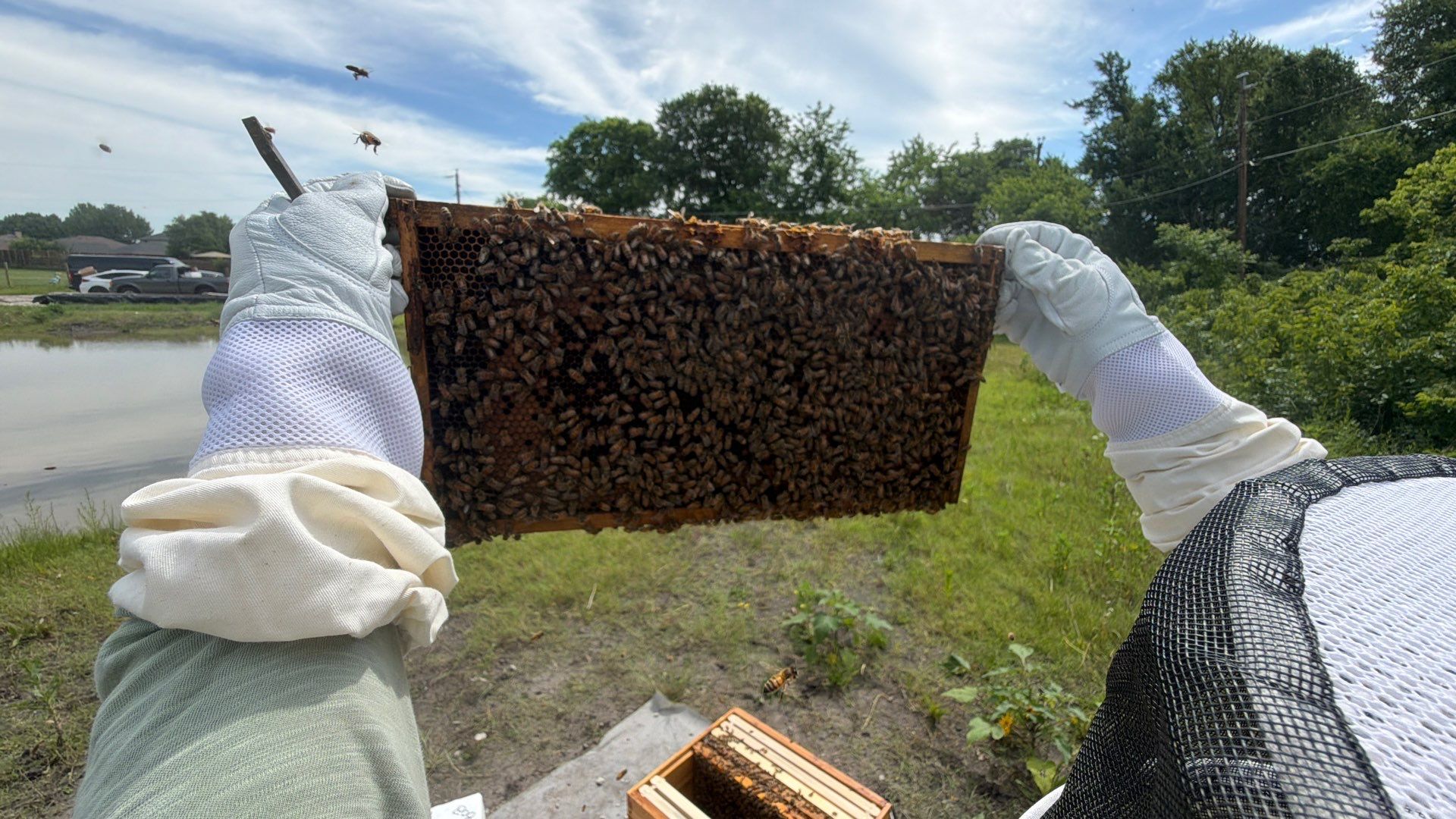 Hometown New Beek by Rockwall Honey Bee Company