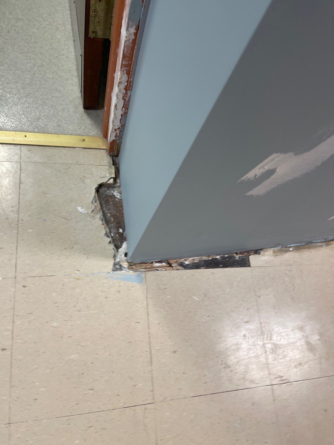 Cat Hospital Project in Pittsburgh by Floors in a Day, Inc