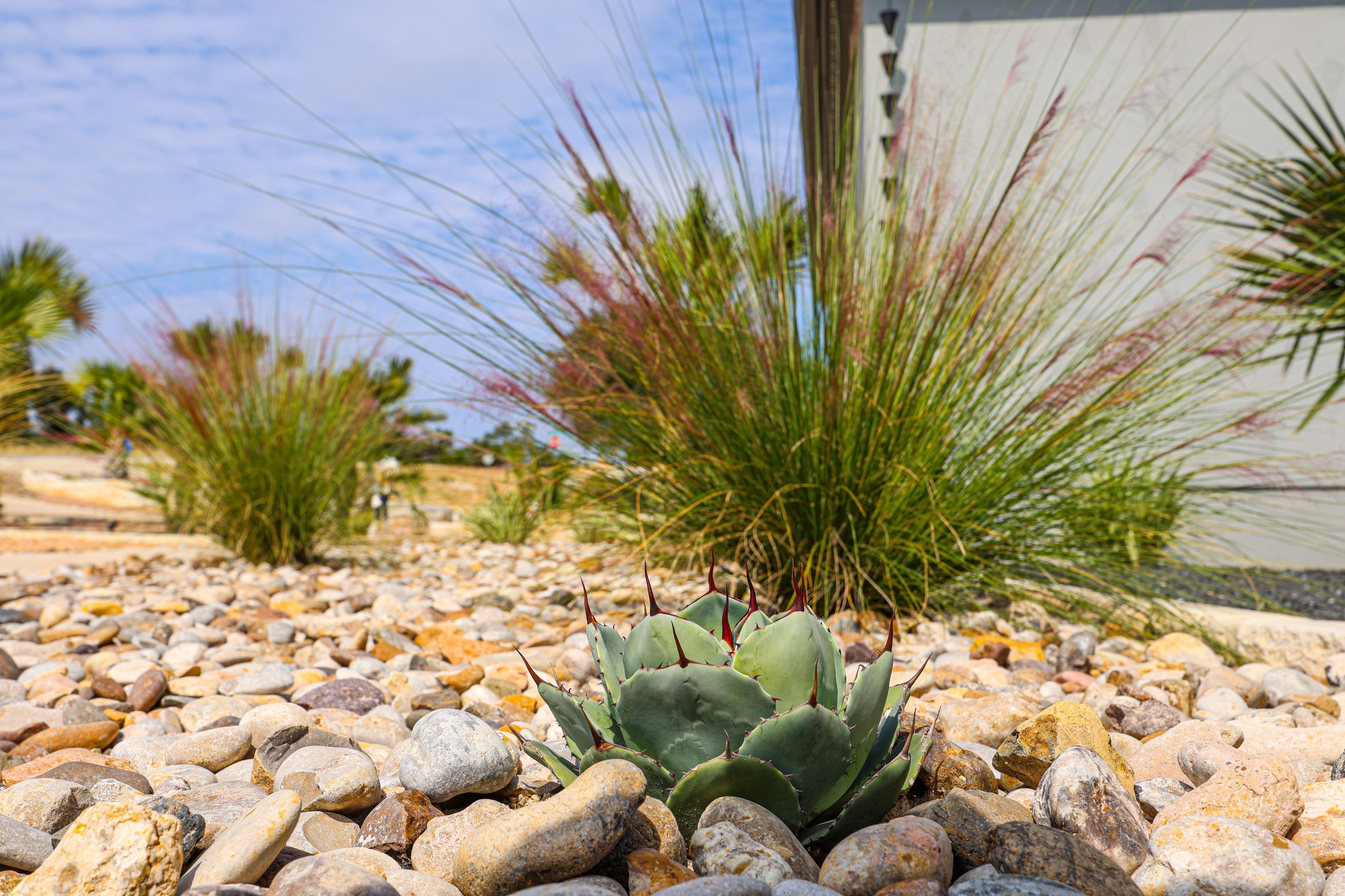 Mountain Spring - Canyon Lake, TX by Hole In One Lawns, LLC