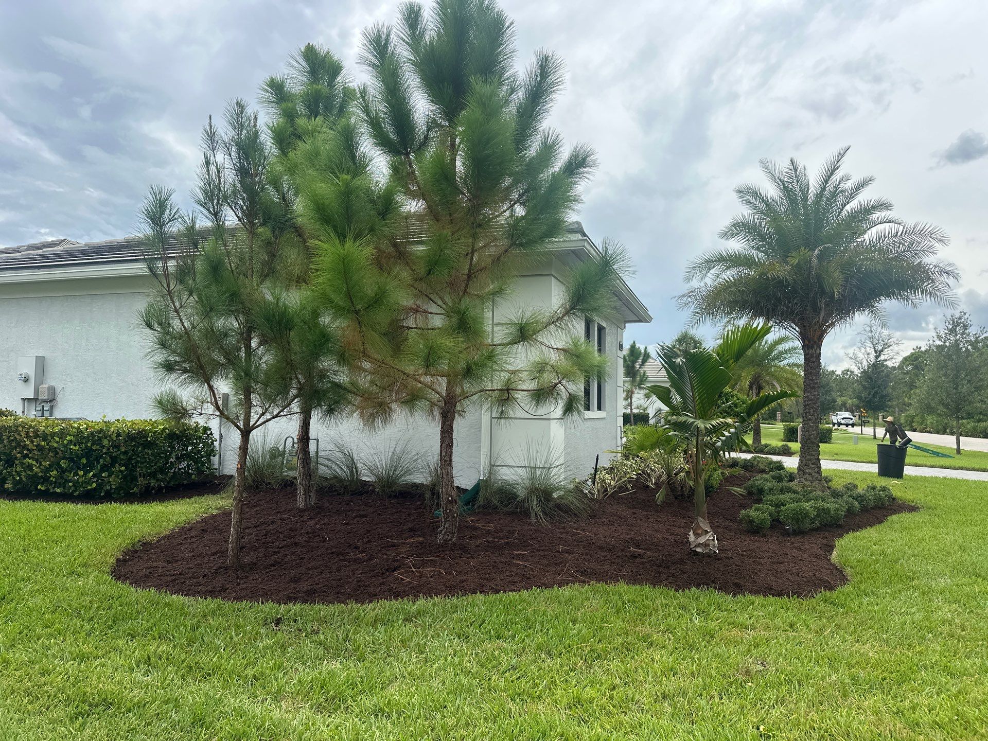 Landscape Cleanup & Refresh – Canopy Creek, Palm City by Alpha Zeta Enterprises Inc
