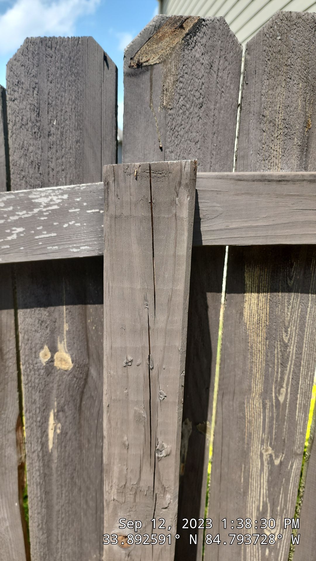 Fence Restoration using Chocolate by SSE by Titans of Timber Fence & Stain