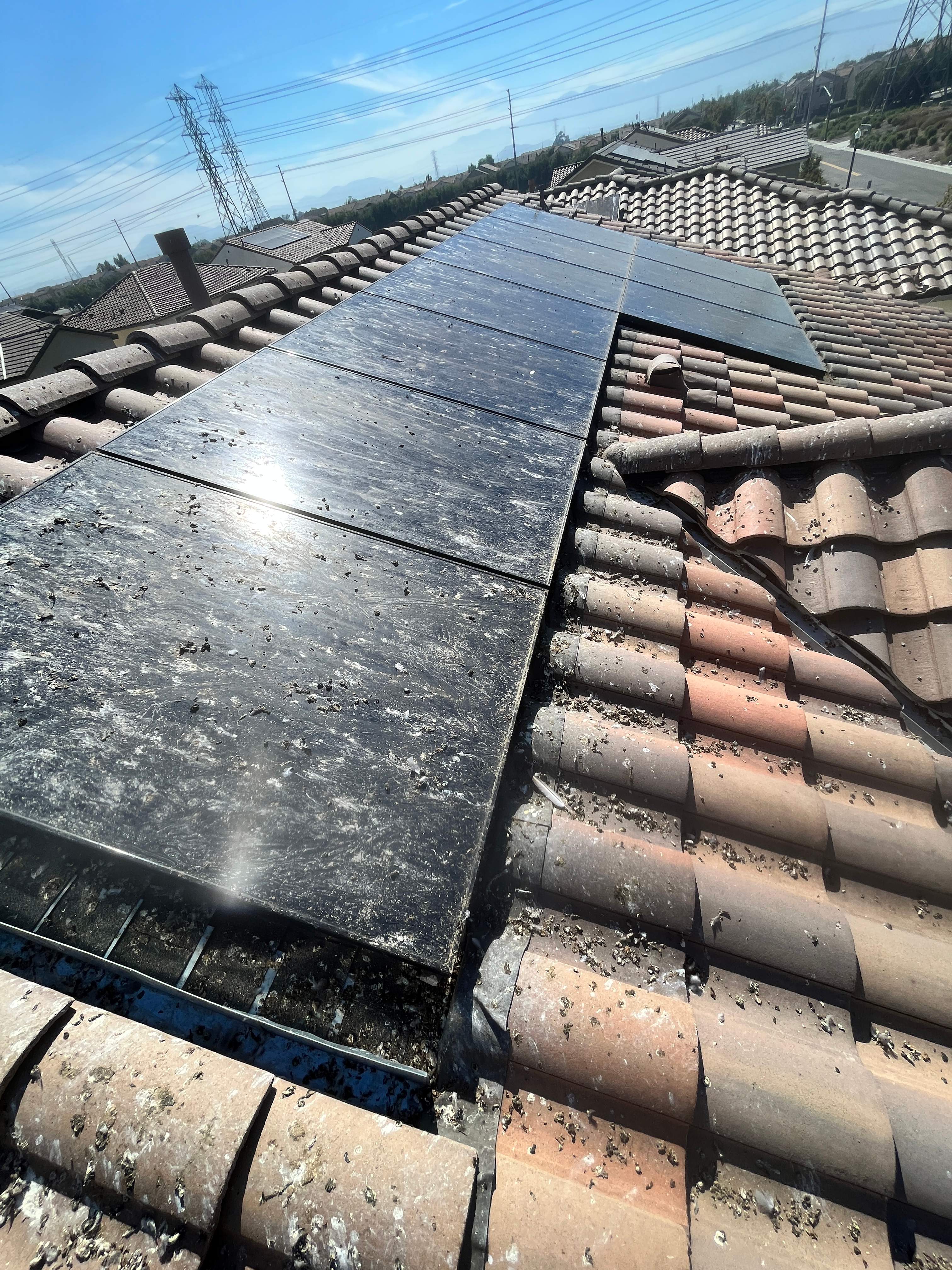 Bird Proofing Solar Panels in Ontario Ca by Palm Coast Solar Cleaning