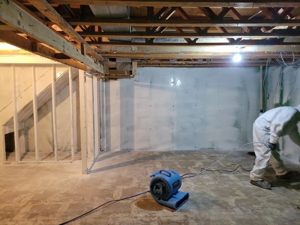 Grossly Contaminated Basement Mold by Chicagoland Water Medics