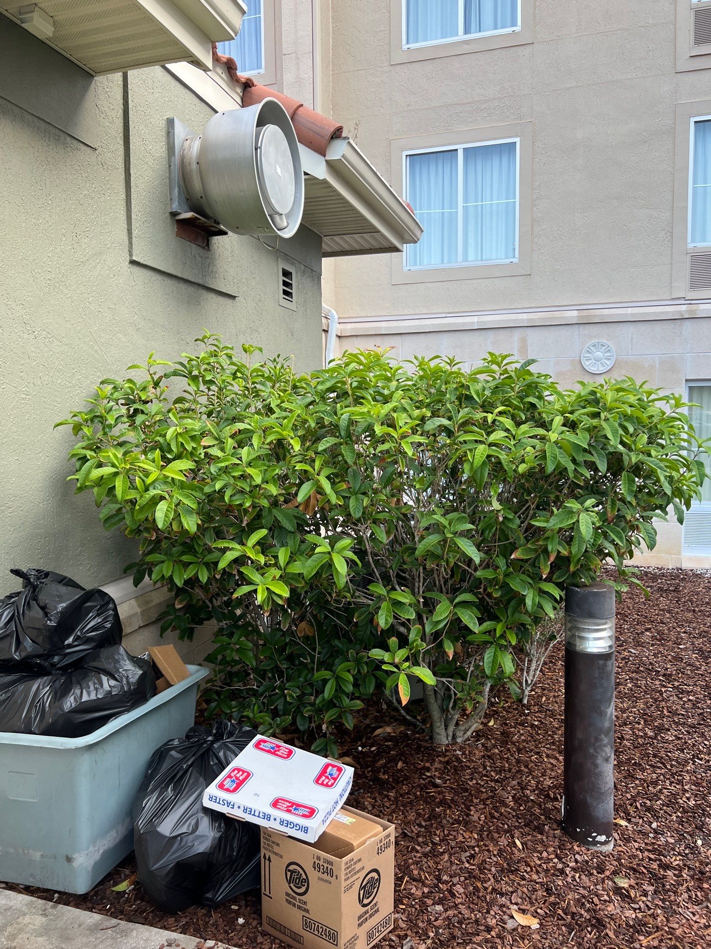 Homewood Suites | Tree Service by ProGreen Services