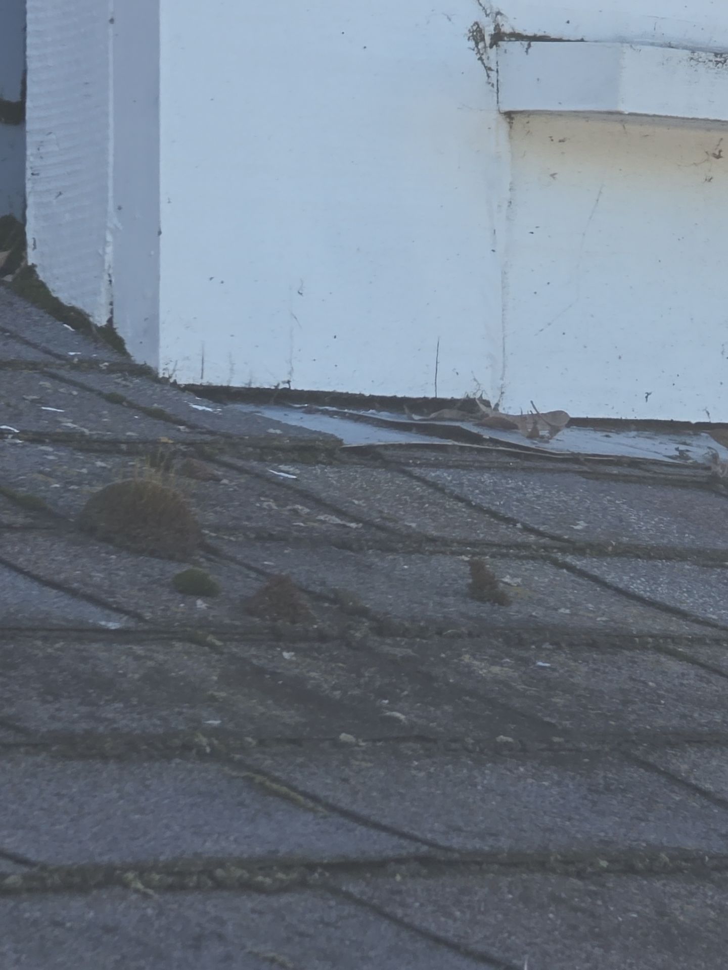 Home Shield by Roof Maxx of Folsom