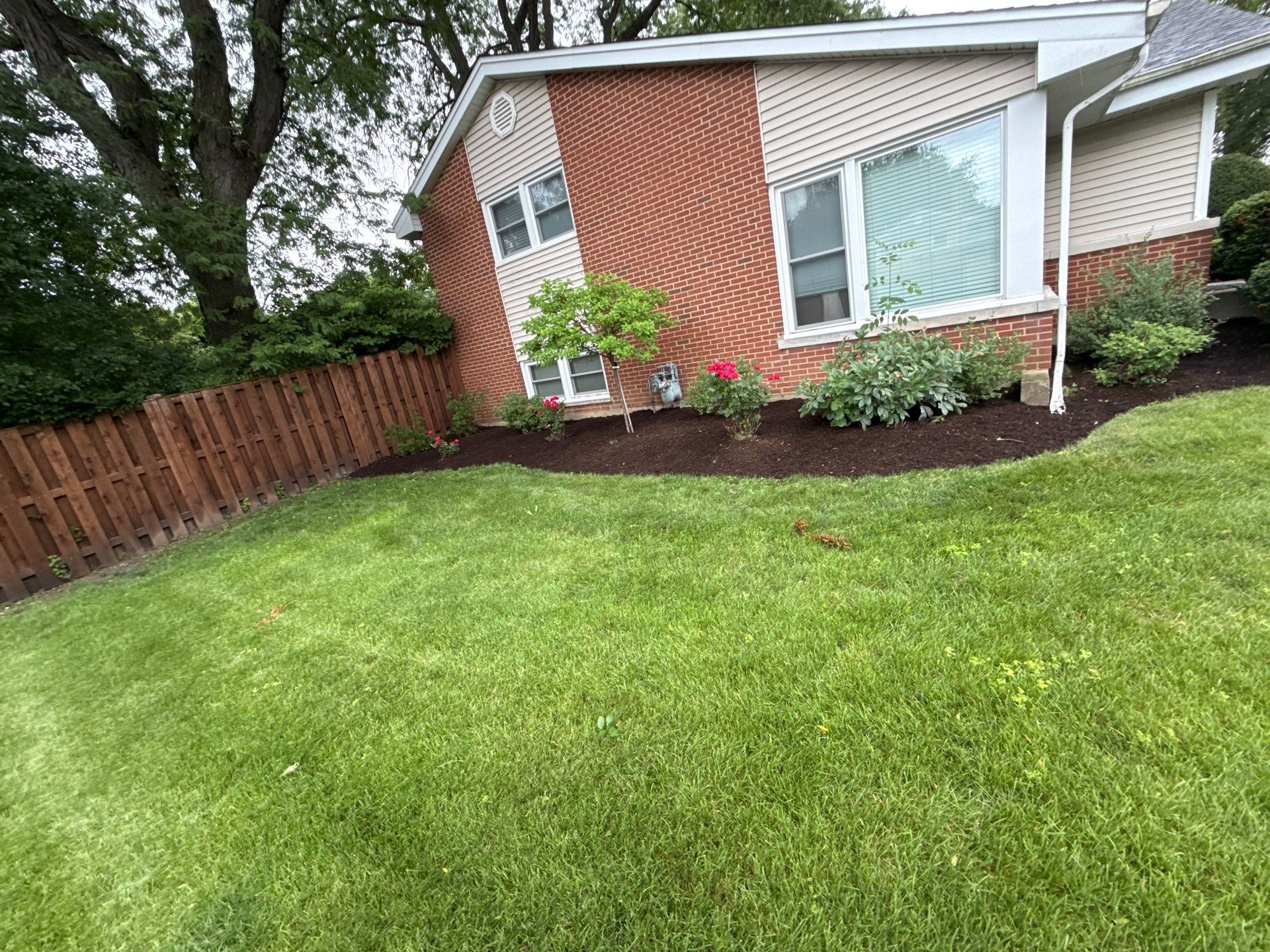 Lauren T. - Arlington Heights, IL by A&N