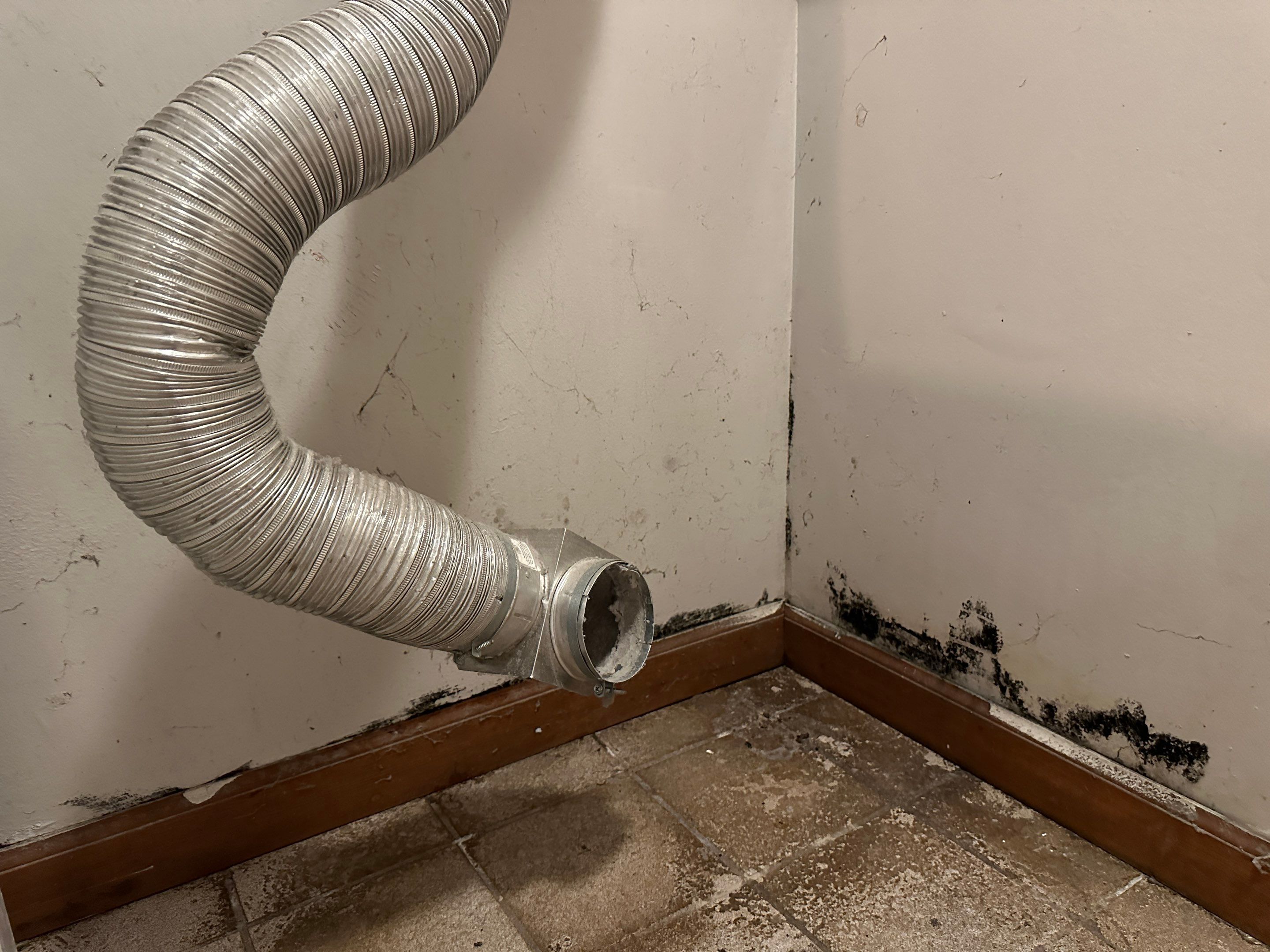 Basement Mold Remediation by Home Guarantee, LLC