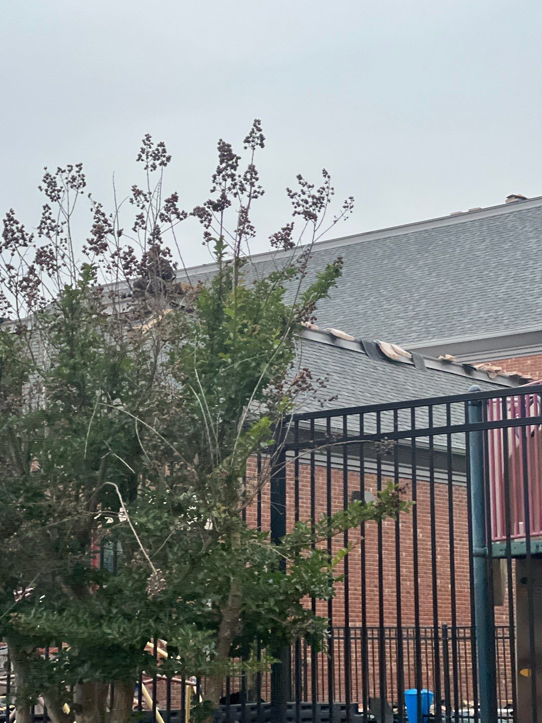 Commercial Roofing Installation using High Grade Asphalt Shingles by Carolina Trophy Roofs