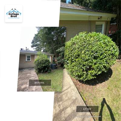 Yard Makeover