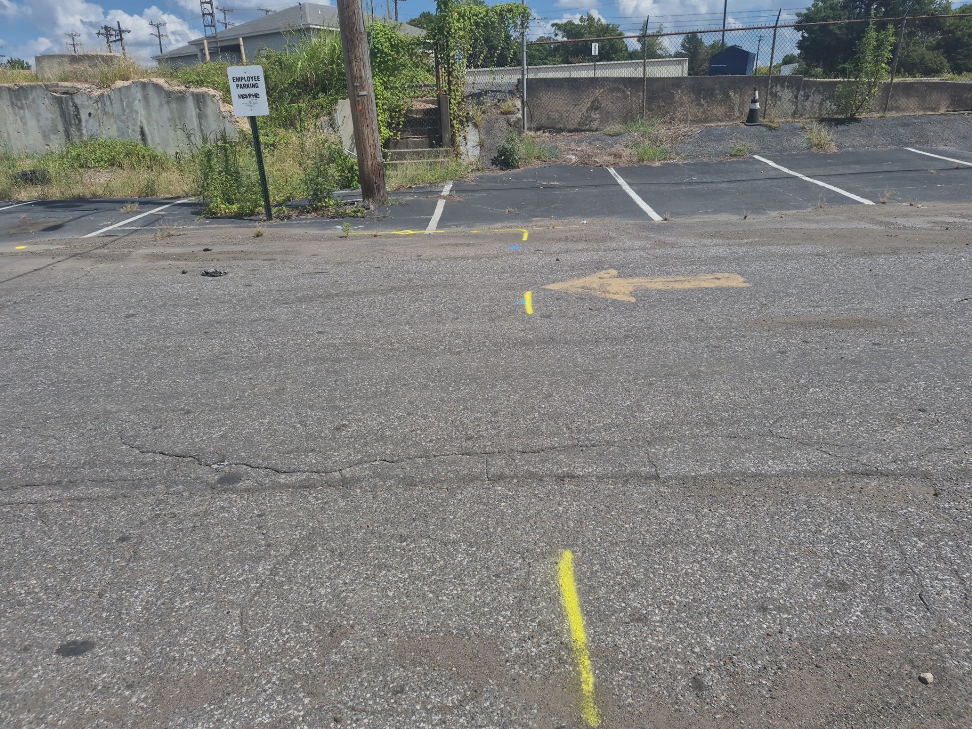 Utility Locate and Utility Mapping for Survey by Alsip Locating Service, LLC
