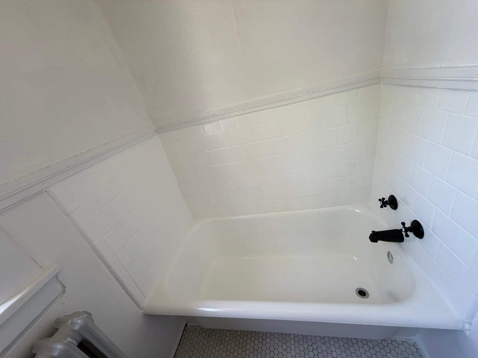 Bathtub renovation  by Alpha and Omega Pro Services
