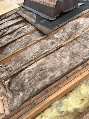 Turtle Shell gutter protection installation in West Chicago, IL 60185, photograph 54