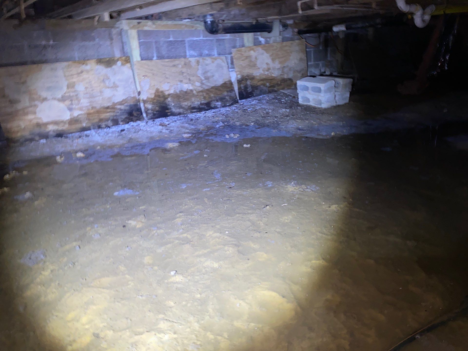 Crawl space mold remediation Burgettstown Pa home by Home Environment Solutions