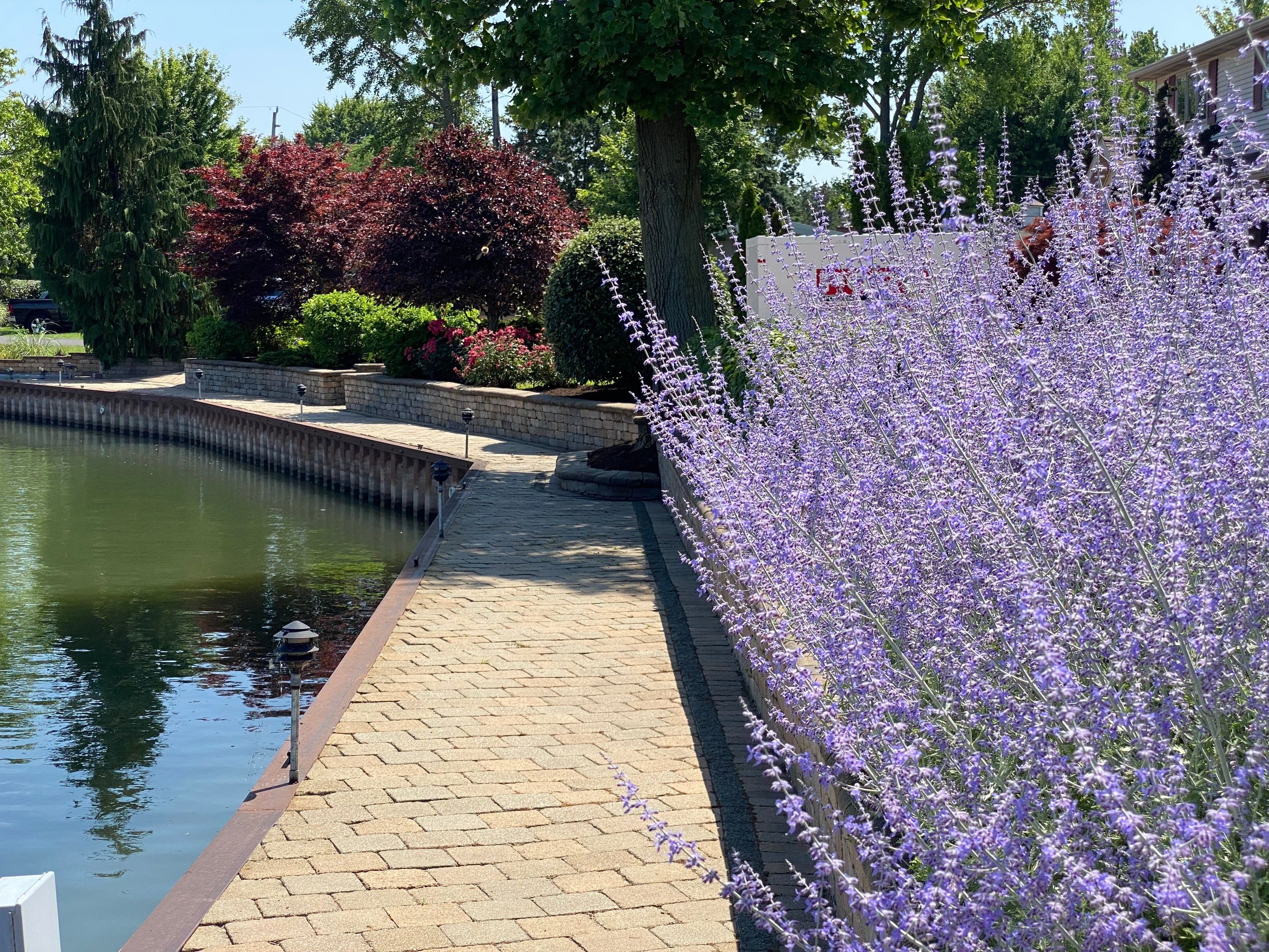 Lake House Maintenance by Elm Rose Gardens