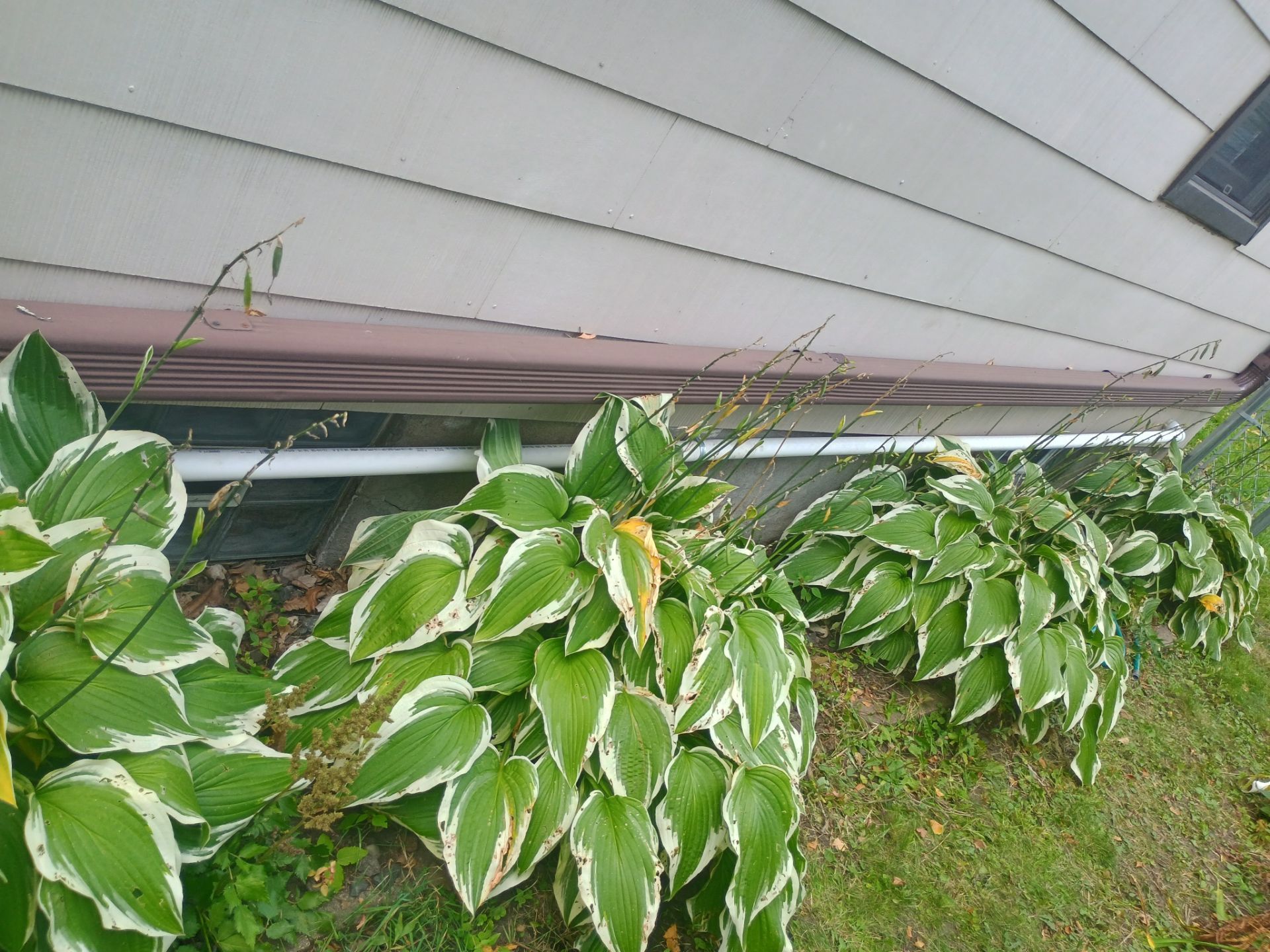 Basement Waterproofing in NE Minneapolis by Waterproofing Northeast