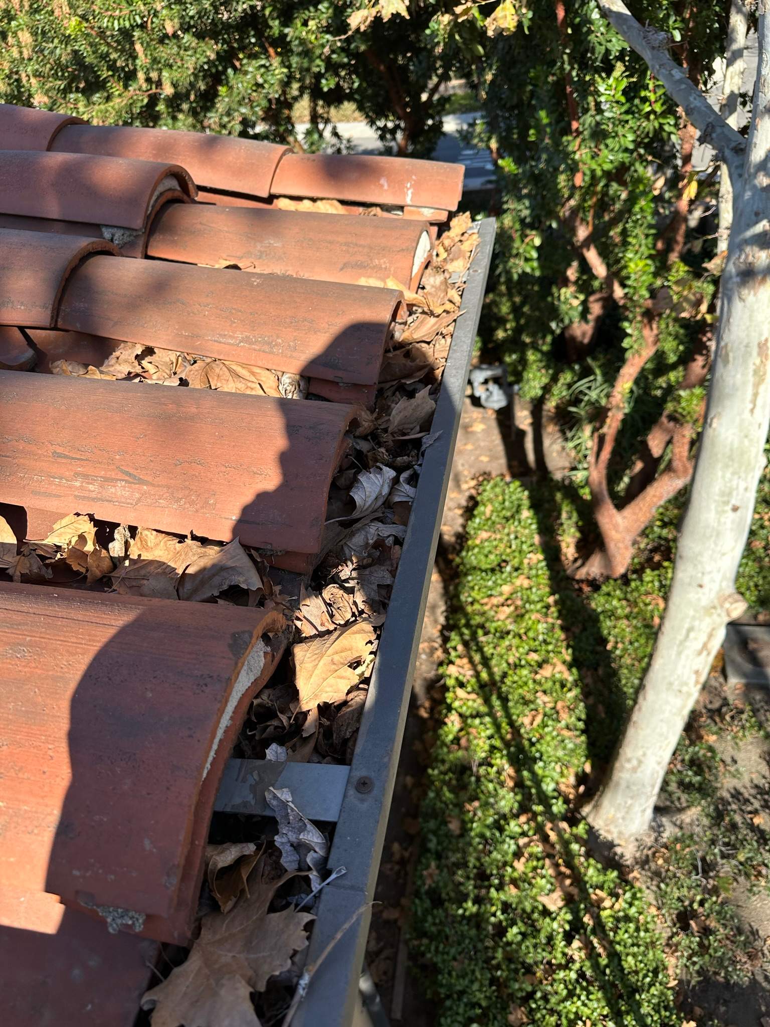 Orange County Gutter Cleaning by Property Cleaning Experts, LLC