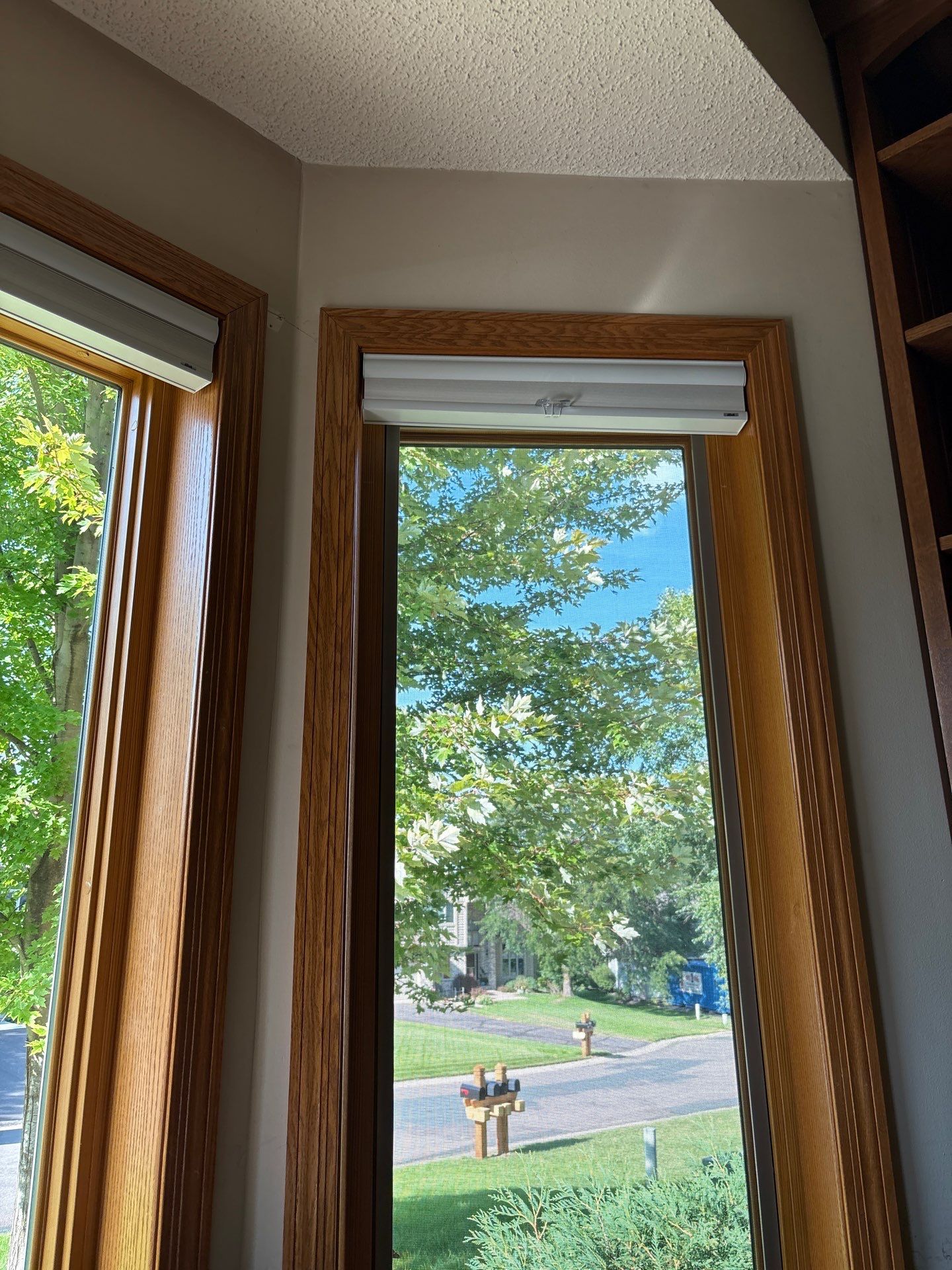 Residential Ceiling Lighting and Electrical Upgrades in Denver by CompanyCam Sales Demo