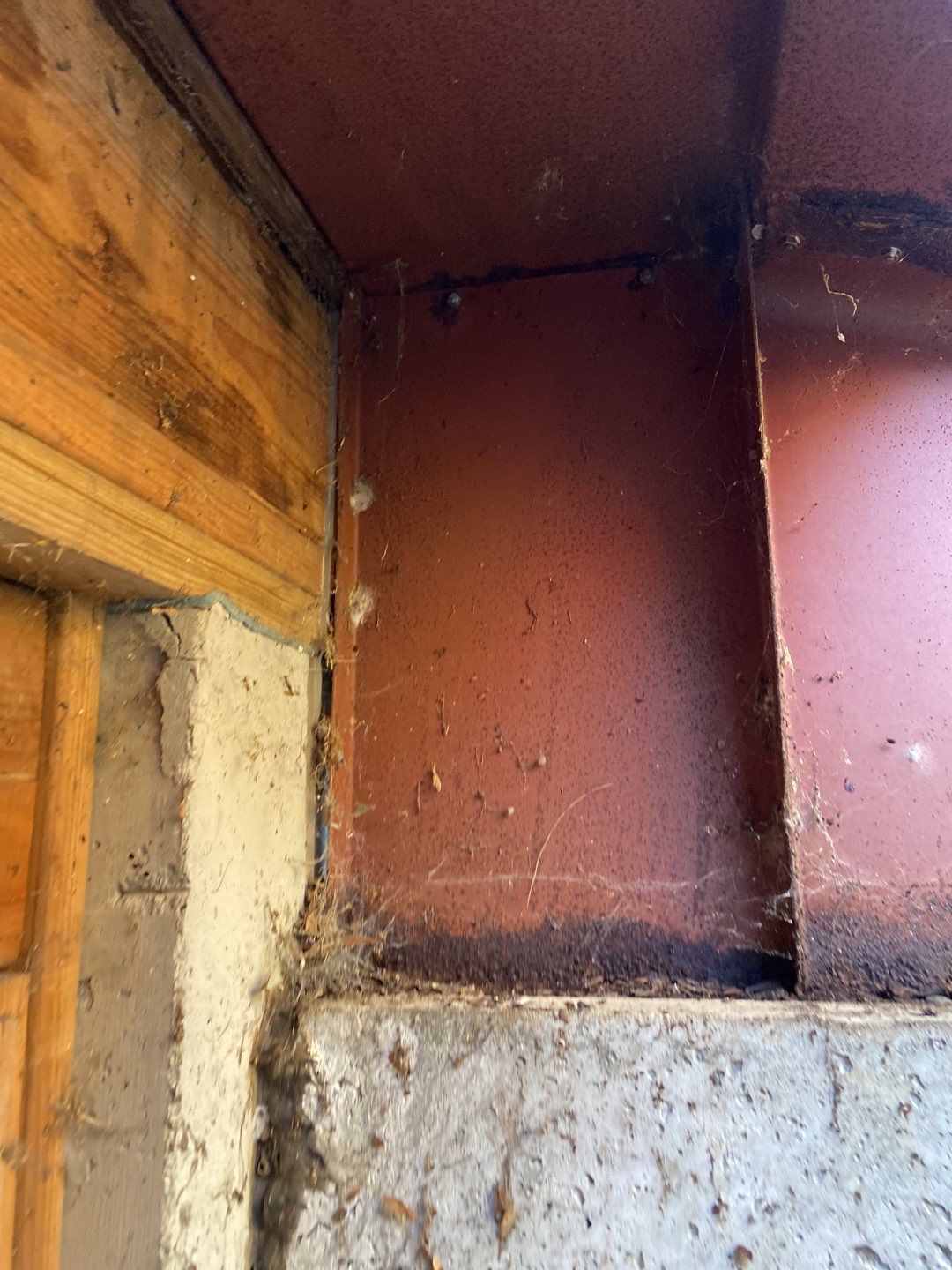 Basement Remodel using Bilco Basement Door by A Plus Exterior