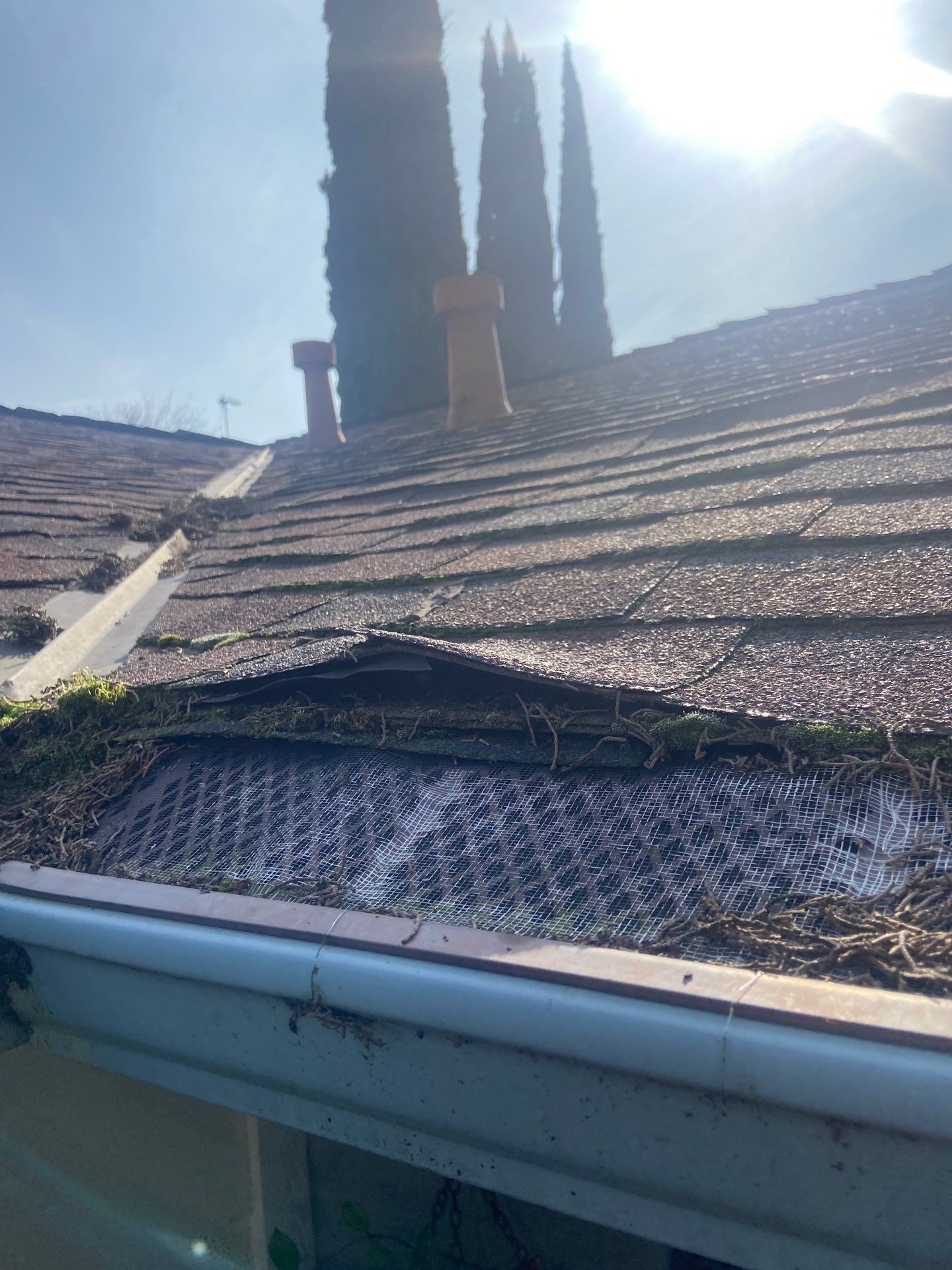 Roof Rejuvenation using Roof Maxx Treatment by Roof Maxx of Folsom