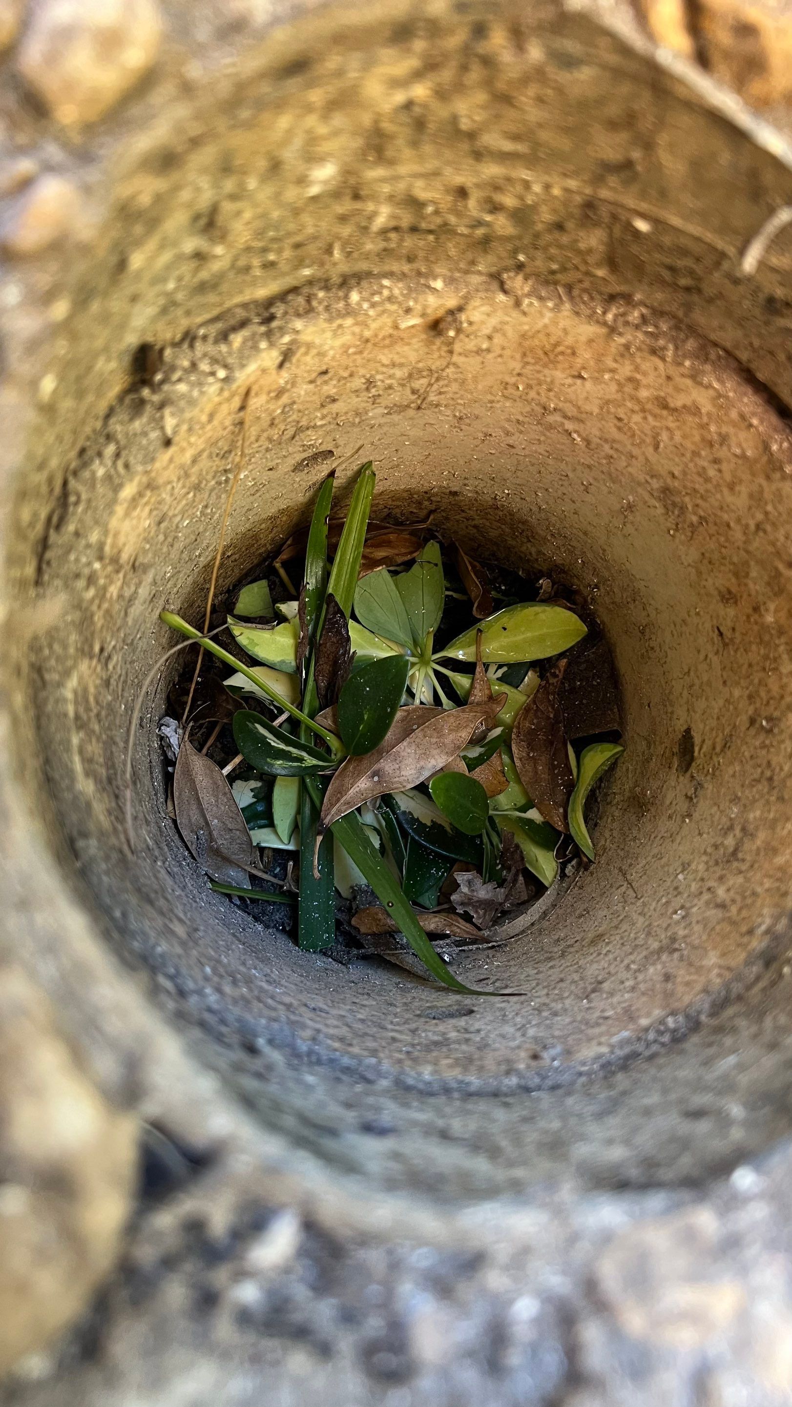 Condo Gutter System Jetting by Don Mar, Inc. Storm Water Solutions