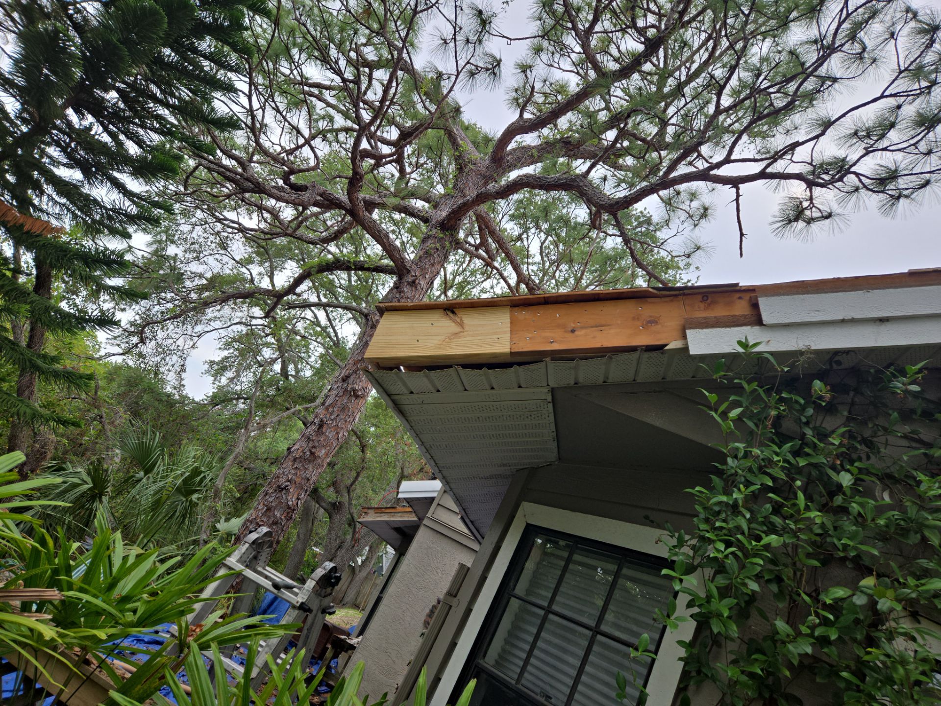 Project in Clearwater 33760 by Mitchell Roofing Company LLC 