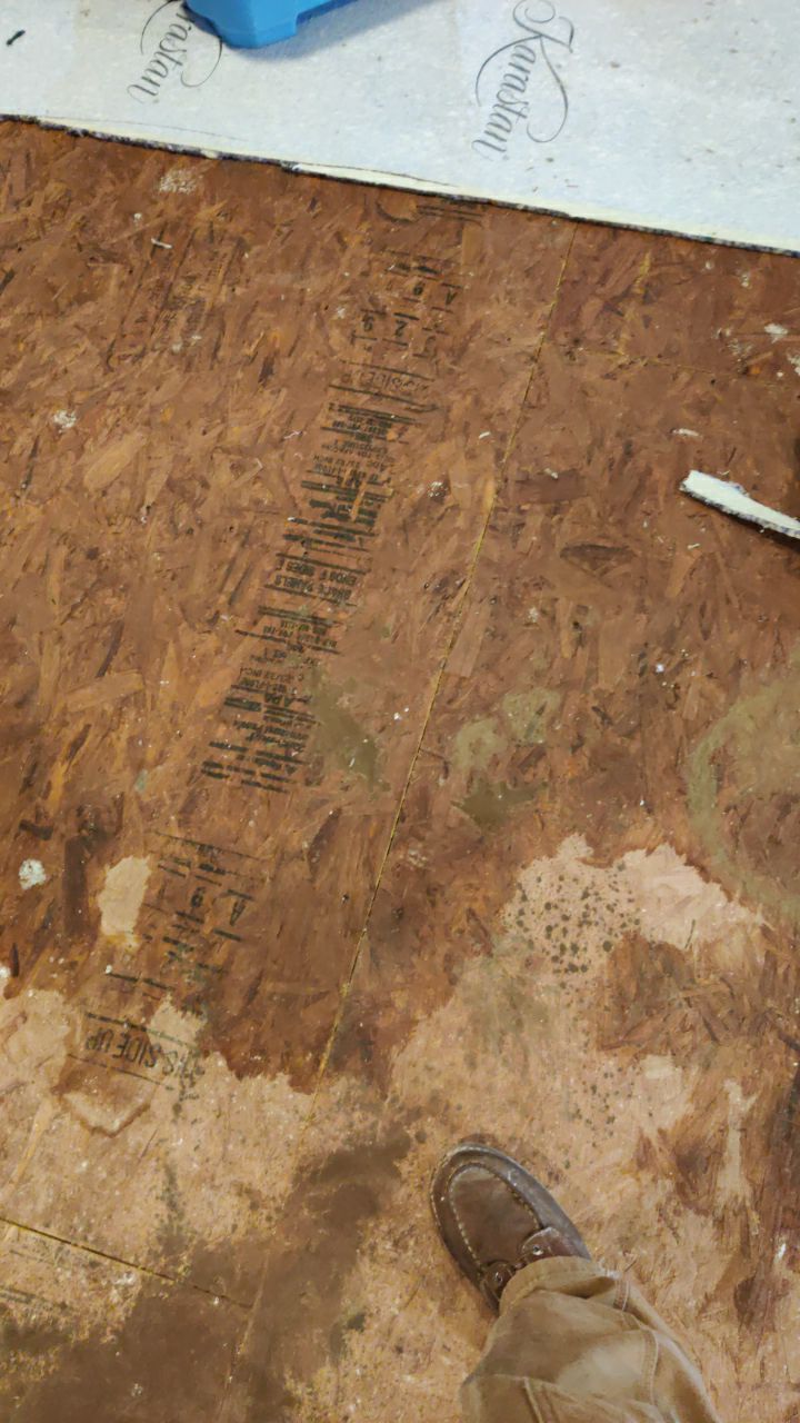 Water Damage Throughout Main Floor, Basement, and Crawl Space by Accountable Home Services