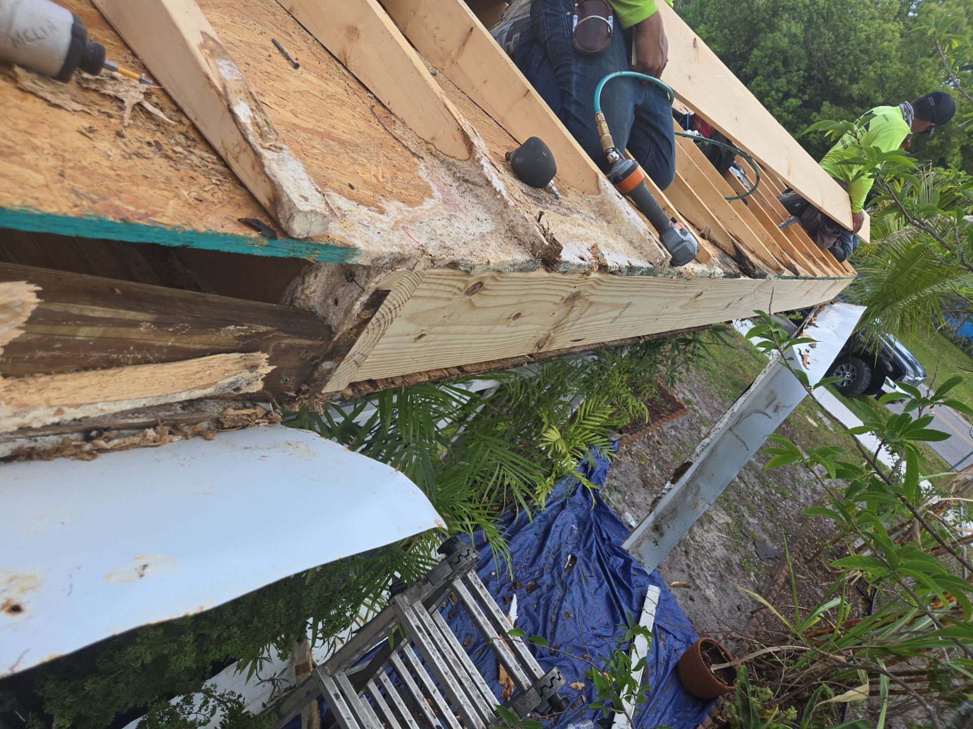 Project in Pinellas Park 33782 by Mitchell Roofing Company LLC 
