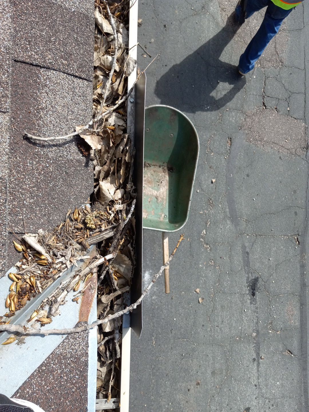 Commercial gutter cleaning Minnesota before photo with filled gutters