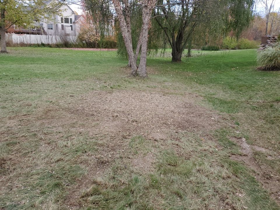 Tree Removal using Tree Removal by Mike Jones & Sons Tree Service LLC 