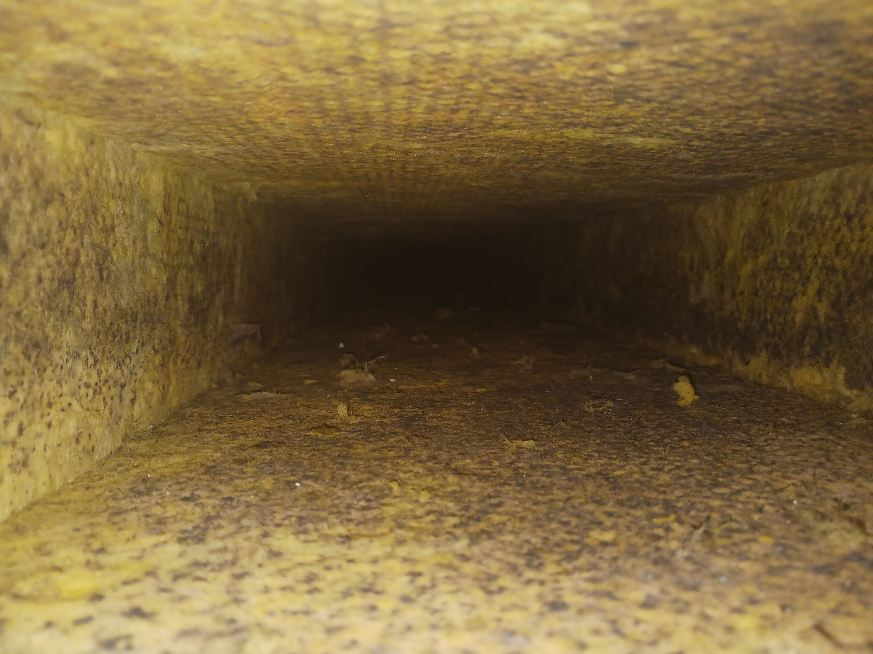 Commercial Air Duct Cleaning in Leesburg by Hygienic Air, Inc