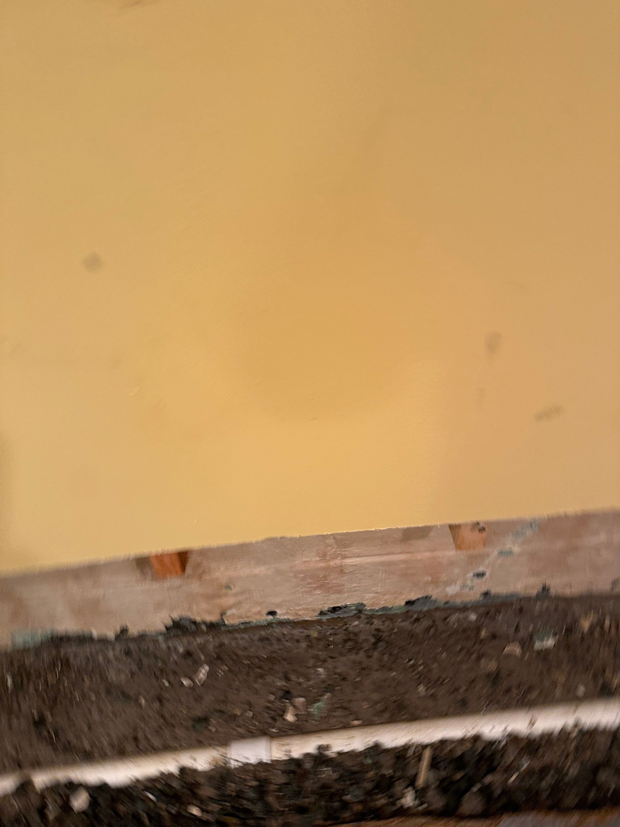 Basement Waterproofing River Edge NJ by Pure Service Pro, LLC 