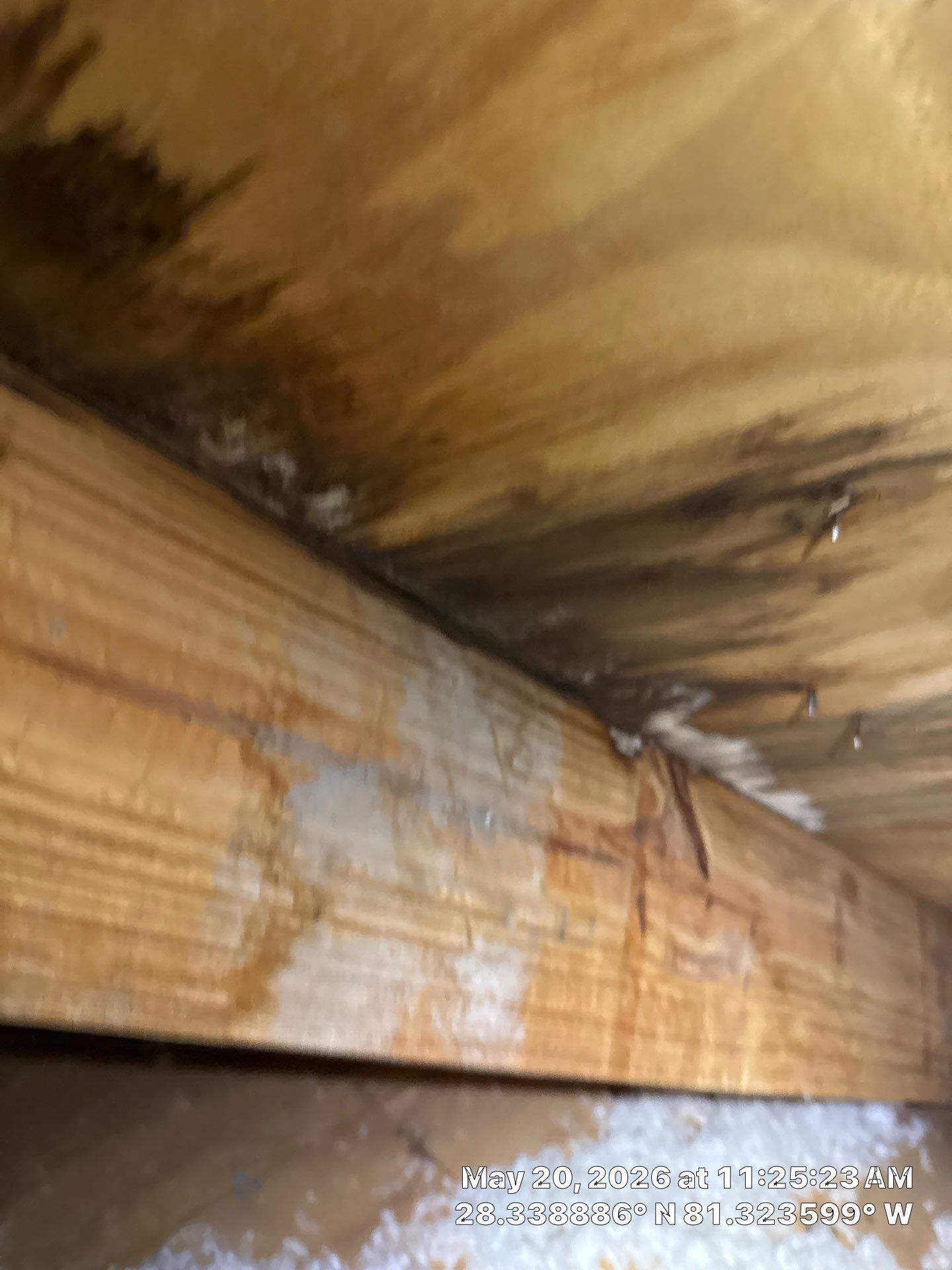 Project in Kissimmee, FL by New Horizons Roofing Inc