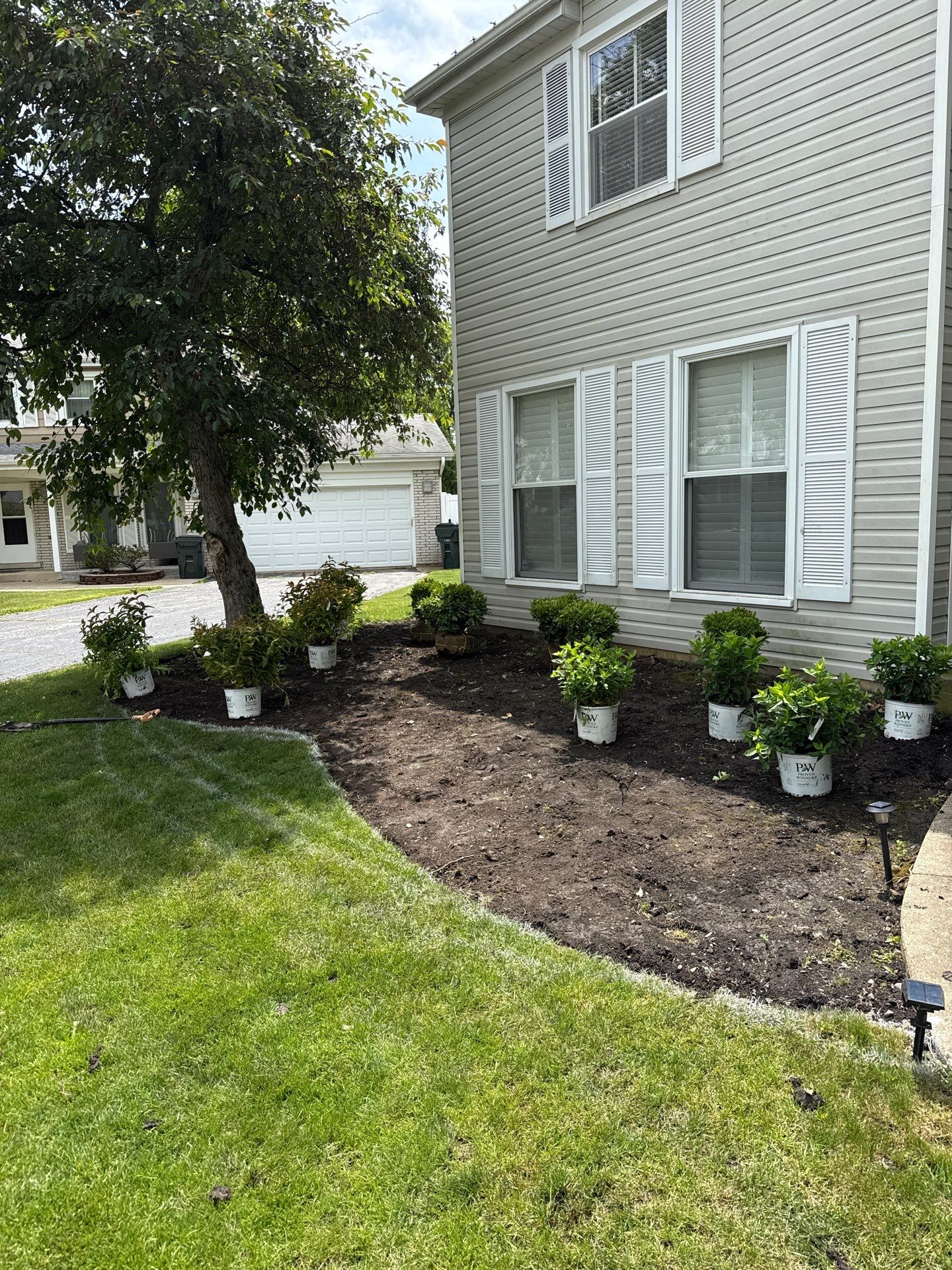 Ashley B. - Glenview, IL by A&N