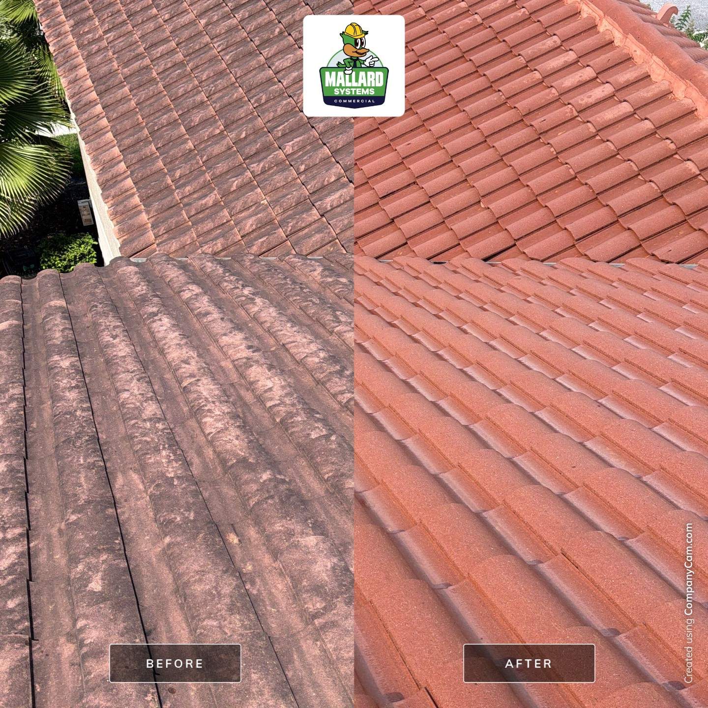 Professional Tile Roof Cleaning in Longwood by Mallard Systems
