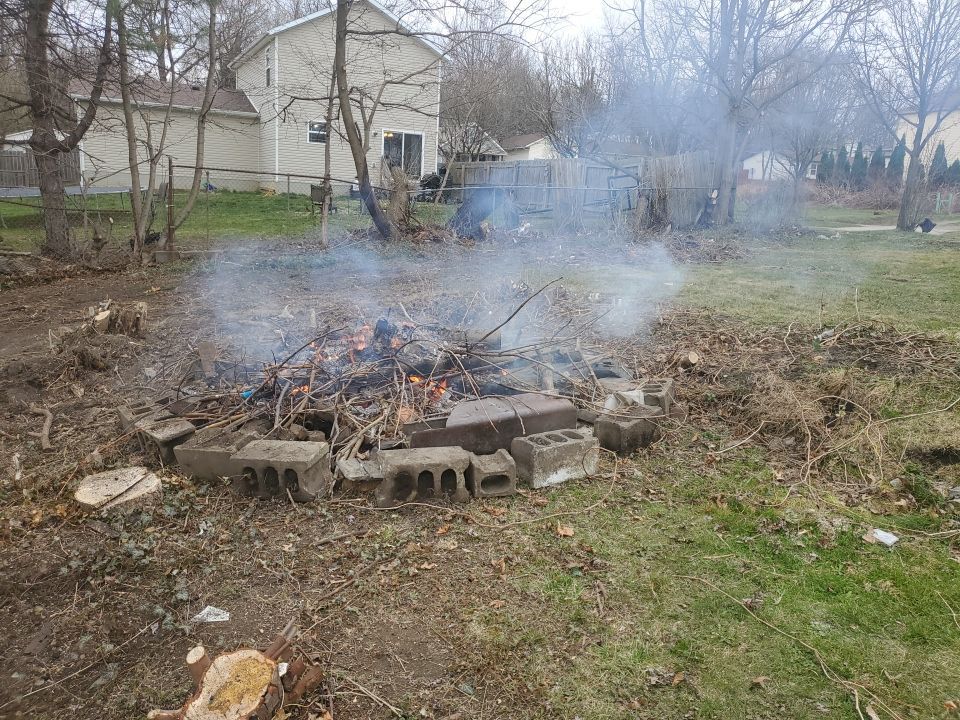 Tree Removal using Tree Removal by Mike Jones & Sons Tree Service LLC 