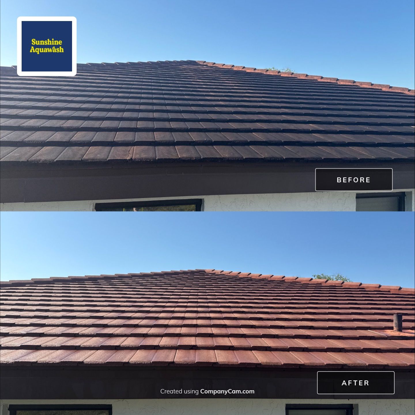 Tile Roof Cleaning – Vivenda at Bradenton I (5-Star Review & Plant Protection) by Sunshine AquaWash
