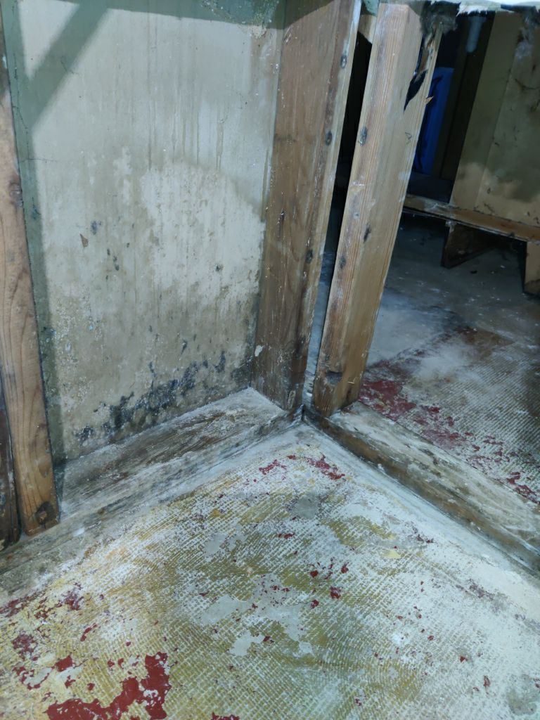 Mold Remediation in Basement by Accountable Home Services