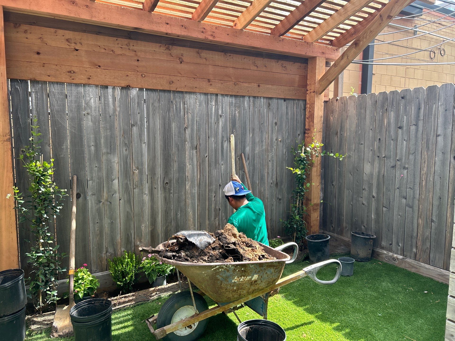 🌿 Kristy’s Backyard Privacy & Pergola Transformation by Texas Urban Elements
