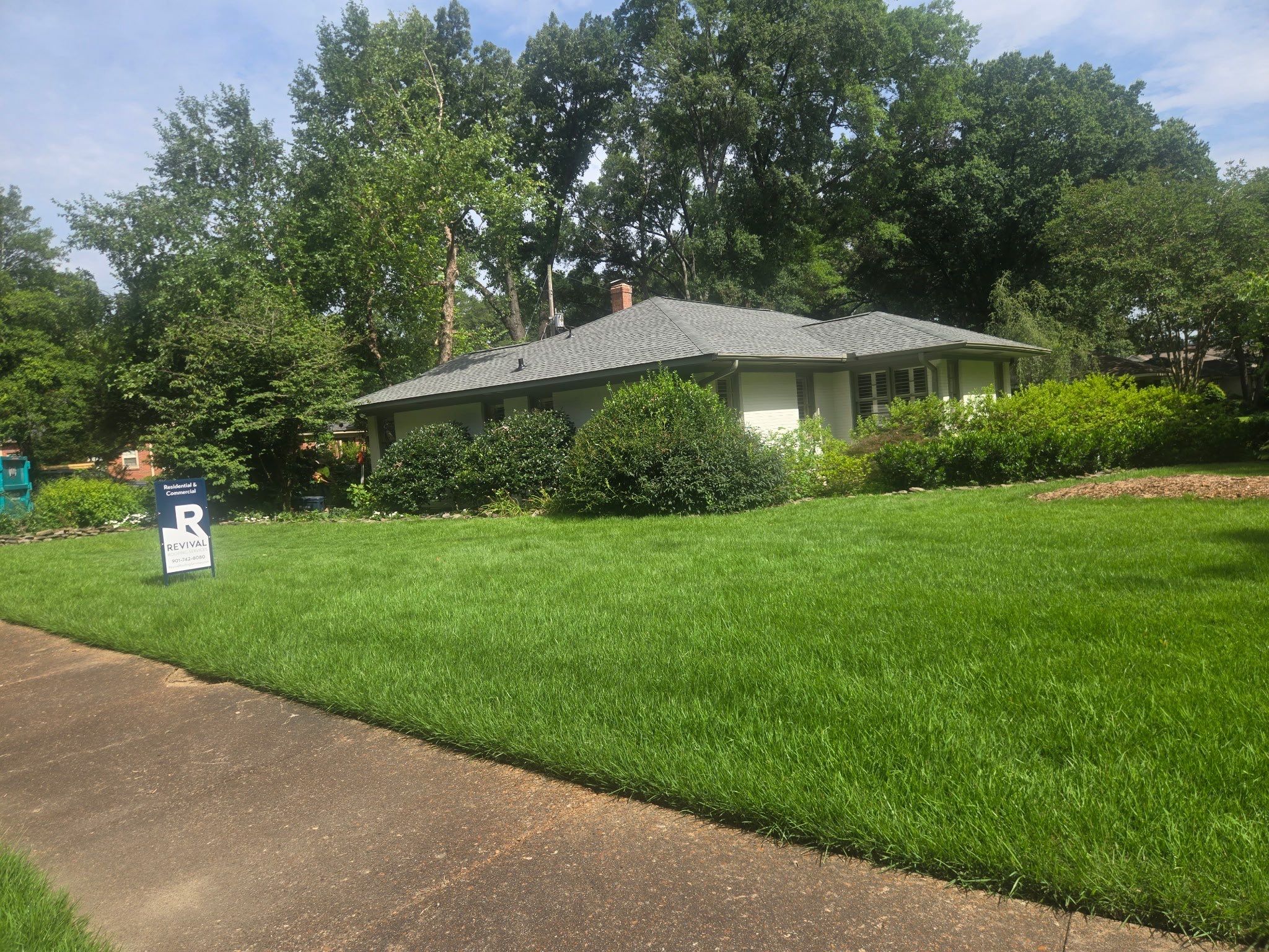 Tree Damage Restoration and Asphalt Shingle Roof Replacement in Memphis by Revival Roofing Services