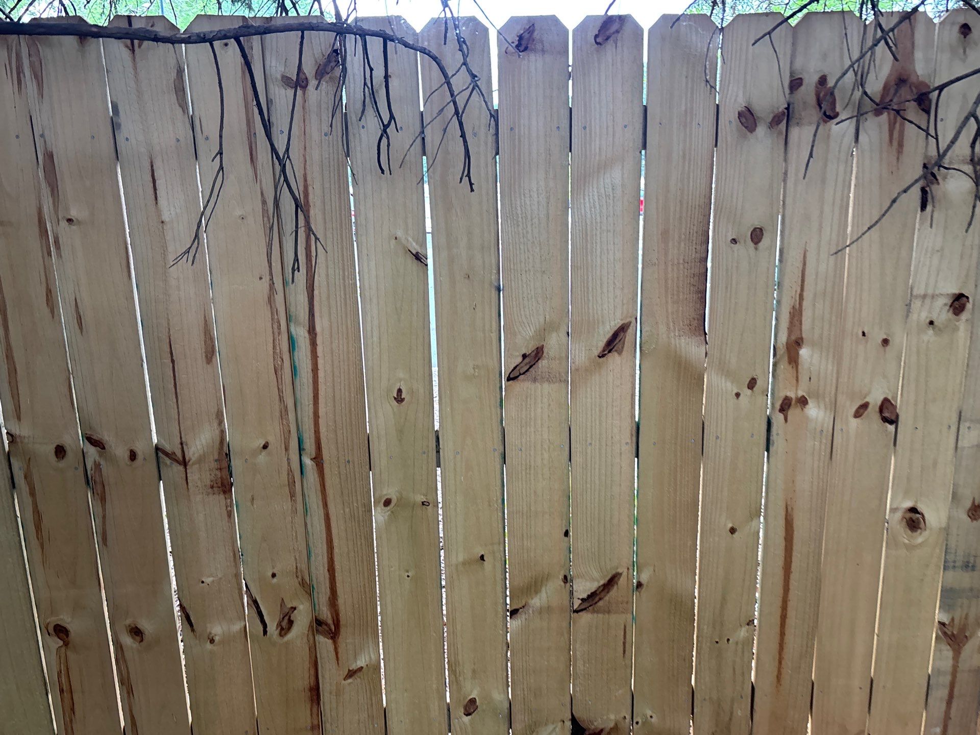 Fence using Wood Sealant by DuraSeal