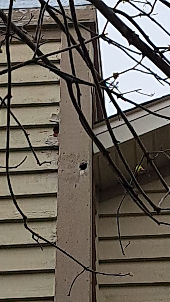 Bye Bye Cedar Siding ! Hello Misty Shadow!  by Gellings Roofing & Siding