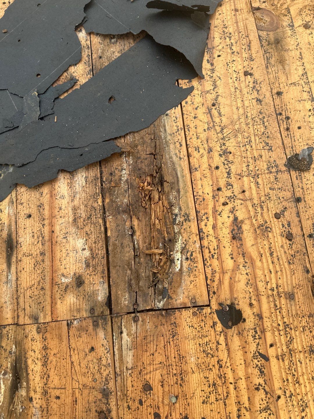 Roof Replacement Baytown by Roof Repair Company