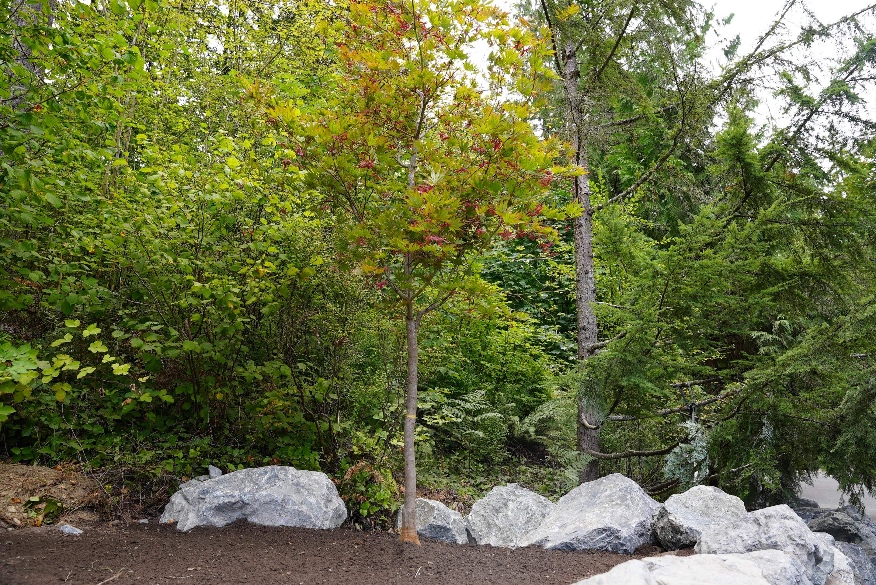 Jim | Rockery Wall, Landscaping, Road Repair & Sealcoating by Jireh Asphalt & Concrete Inc 
