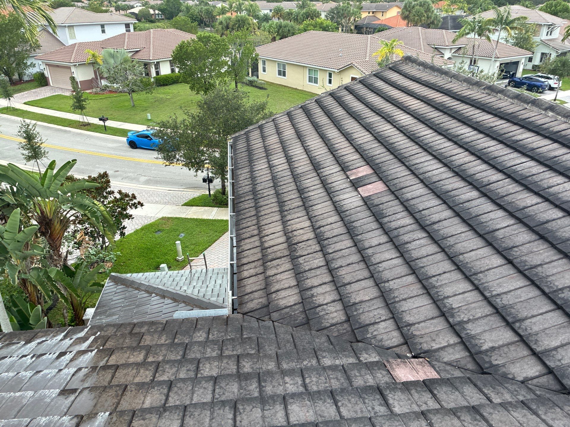 Heron Bay Parkland Painting by BKB Pressure Cleaning LLC