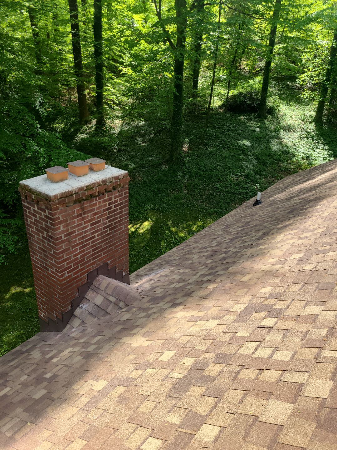 Annandale: Multi-Trade Tree Damage Restoration by RM Banning, Inc.