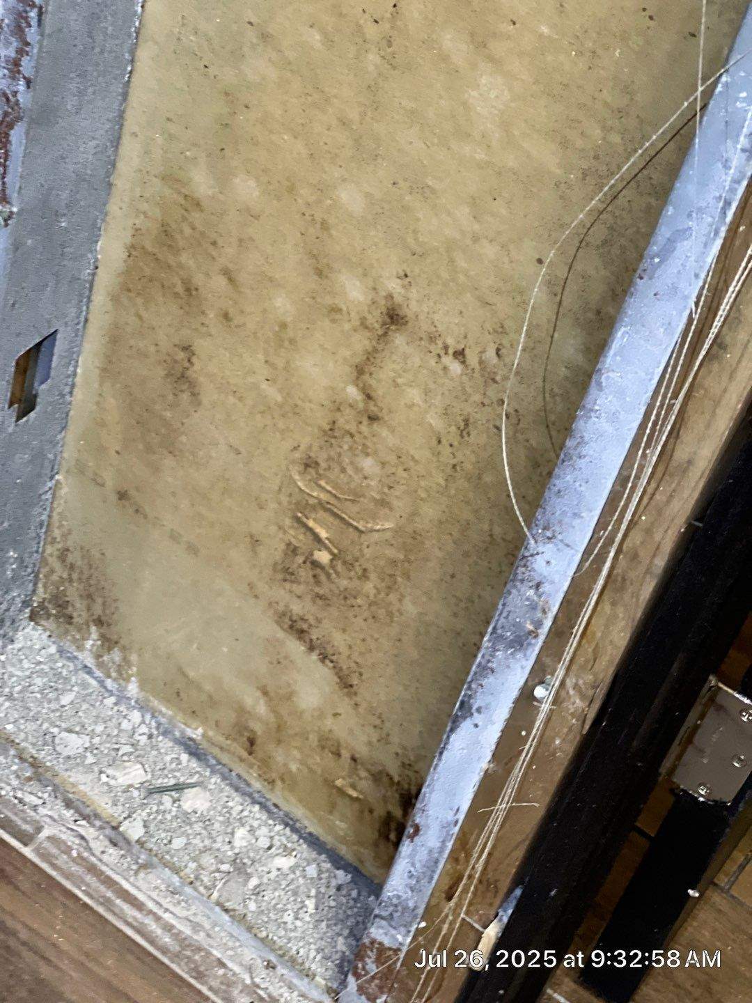 Mold Removal In Clearwater Florida by Ampm Restoration Services