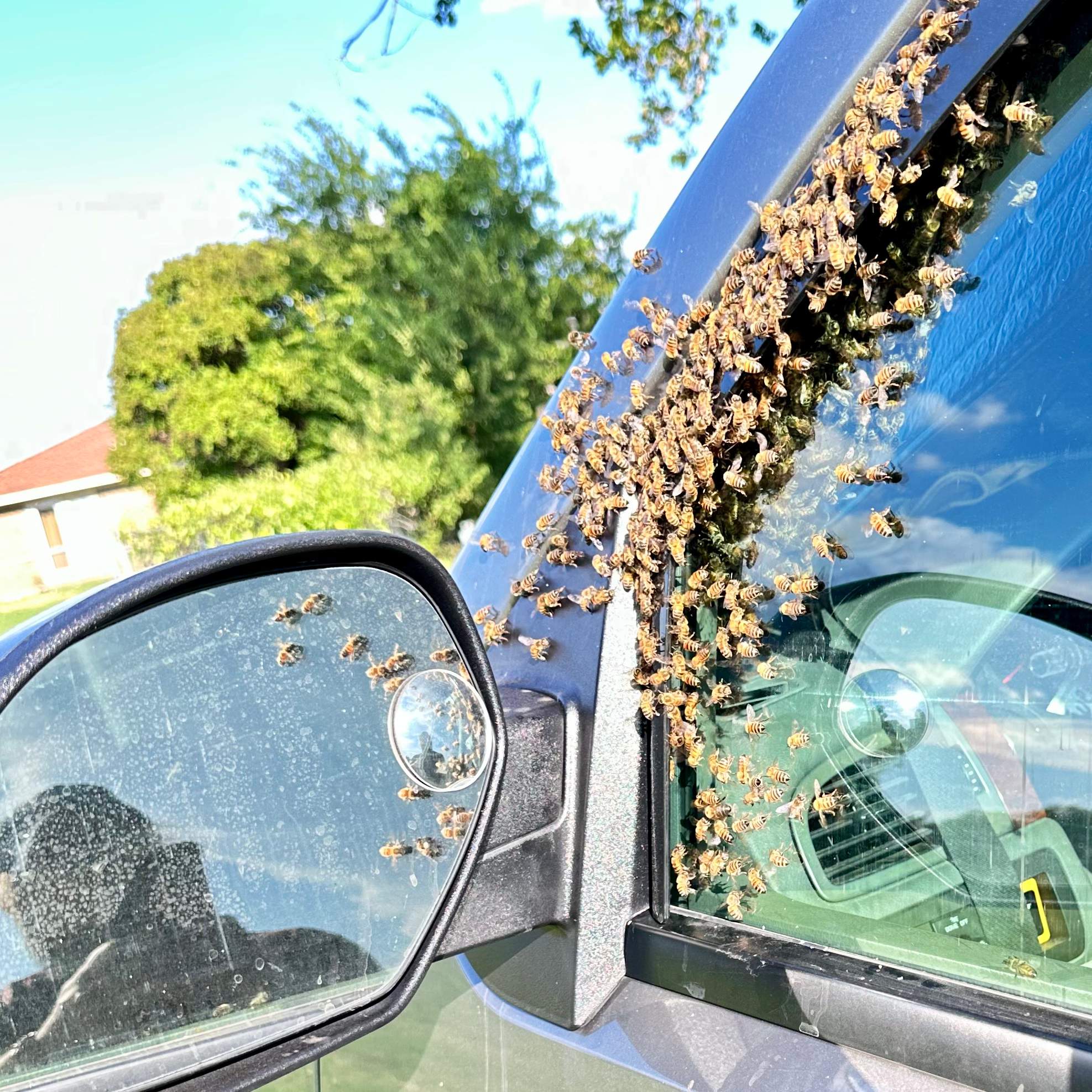 Composter by Rockwall Honey Bee Company